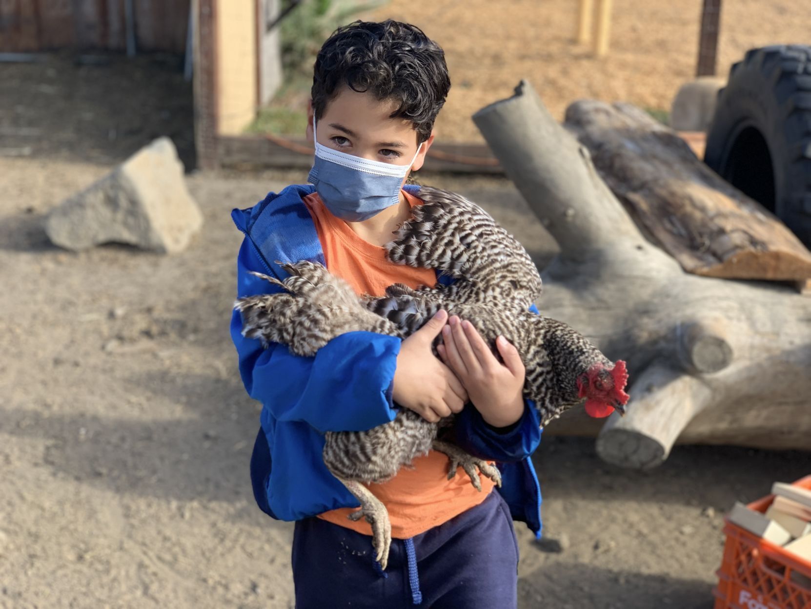 Napa Christian school farm